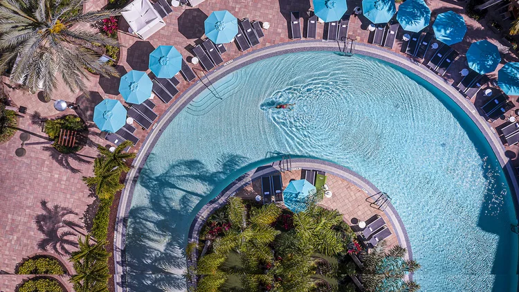 Overhead view of a curved pool surrounded by lounge chairs, umbrellas, palm trees and a swimmer in the water