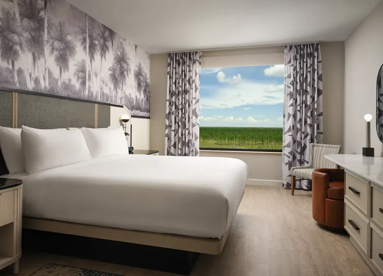 Discover an oasis of relaxation and comfort in our newly redesigned Caribe King Suites.