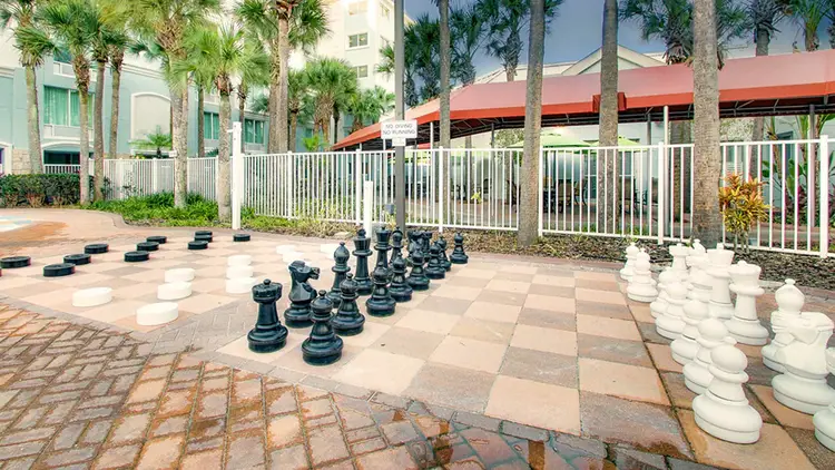 A large chessboard and checkerboard