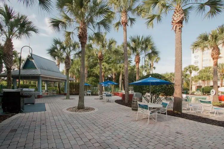 Bricked and gated outdoor patio with barbeque grills, shaded tables and chairs, palms trees